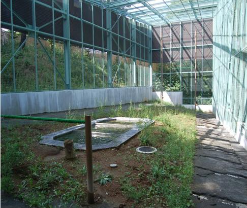 猛禽類野生復帰施設3