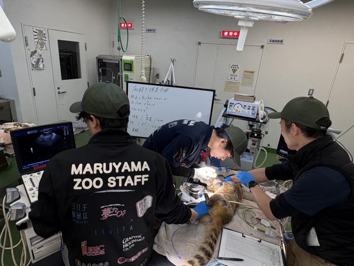 ご寄付いただいたホワイトボード