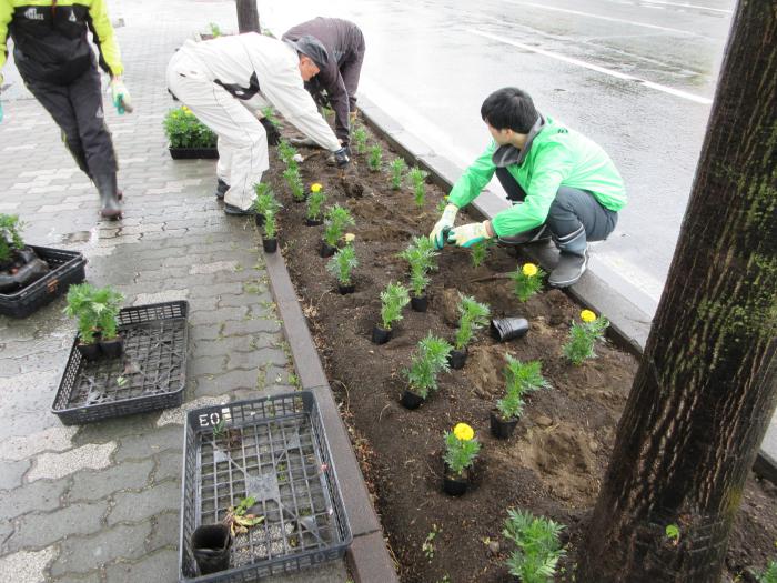 植栽の様子