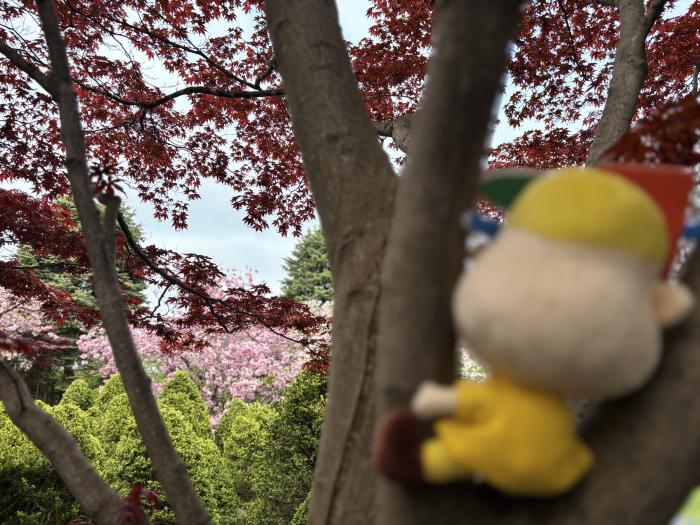 平岡樹芸センターにいってきたよ!