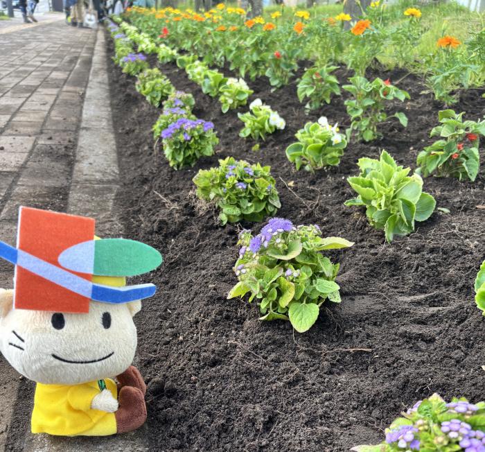 区役所前の花壇にお花を植えたよ1