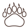 ヒグマ対策