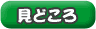 見どころ