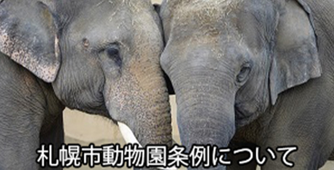 札幌市動物園条例について