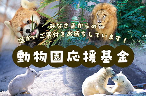 動物園応援基金