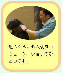 画像:毛づくろい