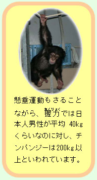 画像:懸垂