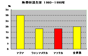 画像:熱帯雨林消失率