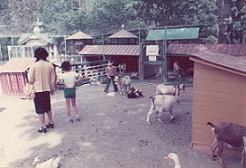 画像:1976年、こども動物園の様子