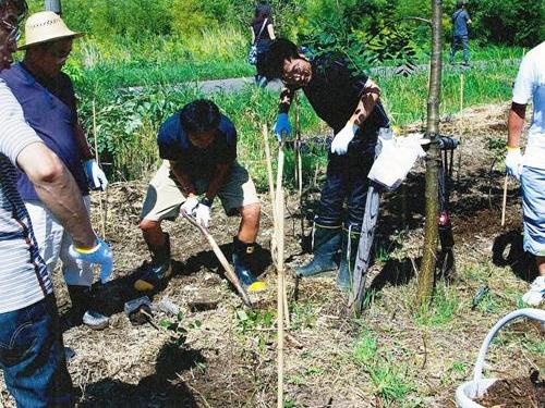HBA:植樹の様子の写真
