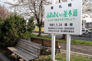 ふれあいの並木道