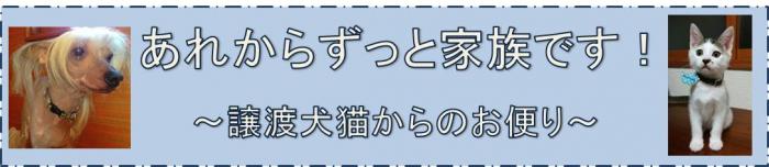 「あれからずっと家族です!」を閲覧したい方は、こちらです。