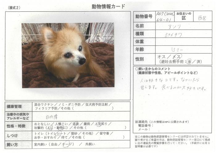note-2025-64-01