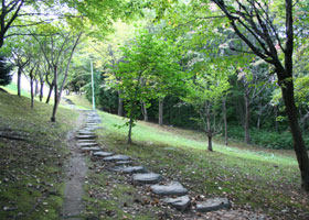 青葉緑地1