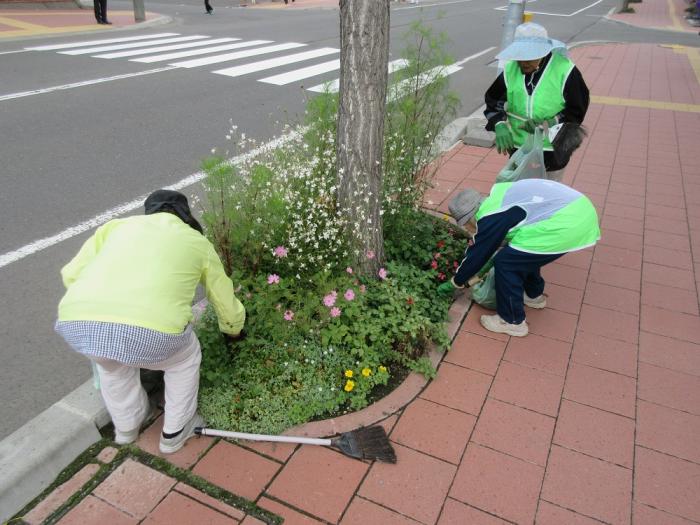 写真:わくわくハツキタ倶楽部が花壇を整備している様子