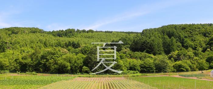 きよたの夏