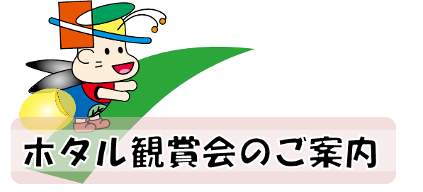 ホタルきよっち案内