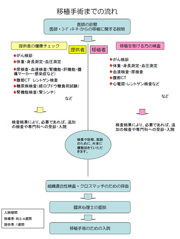 移植手術への流れ