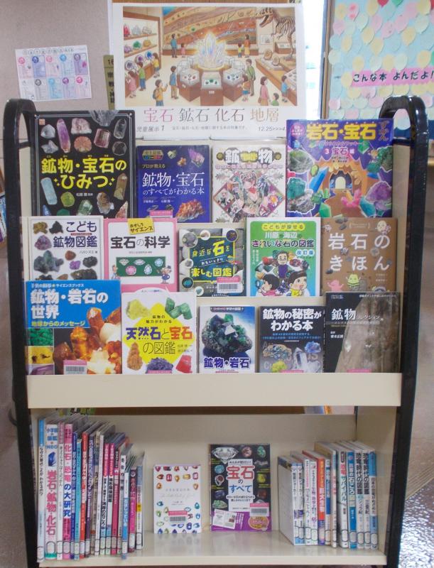 2025年12月24日、展示「宝石鉱石化石地層」、写真1
