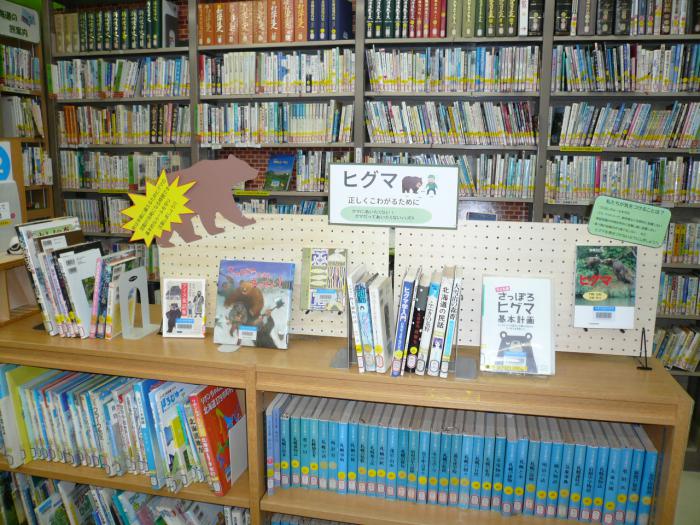 2025年8月、展示「ヒグマ～正しくこわがるために～」