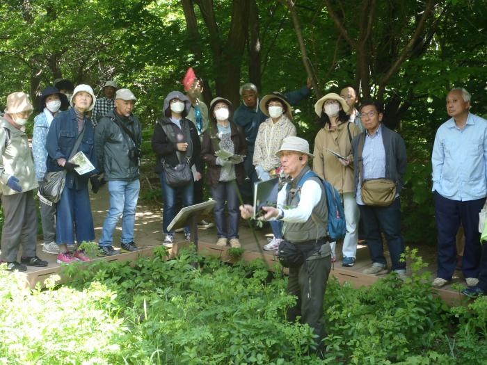 R6年5月30日富丘西公園自然観察会3