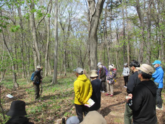 R6年4月29日稲穂ひだまり公園自然観察会3