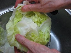 レタスを洗う写真1