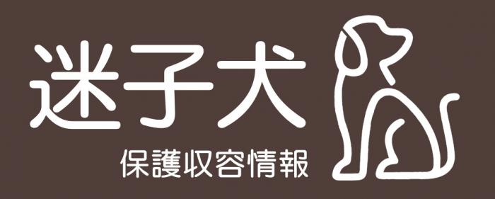 迷子犬保護収容情報