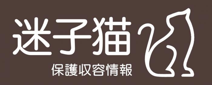 迷子猫保護収容情報