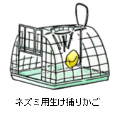 画像:ネズミ用生け捕りかご