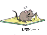 画像:粘着シート