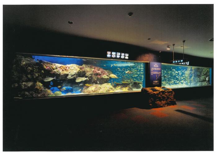 サンピアザ水族館水槽