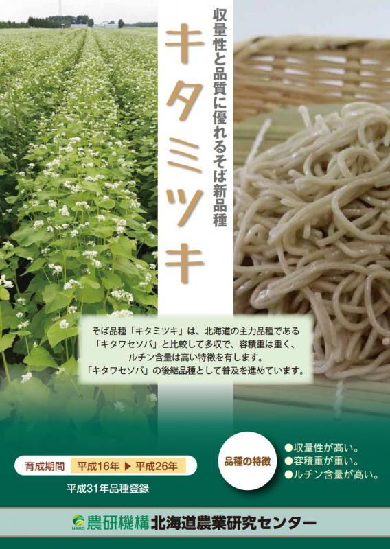 (そば)キタミツキ