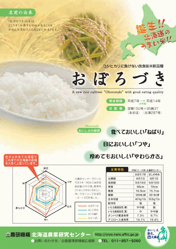 (こめ)おぼろづき