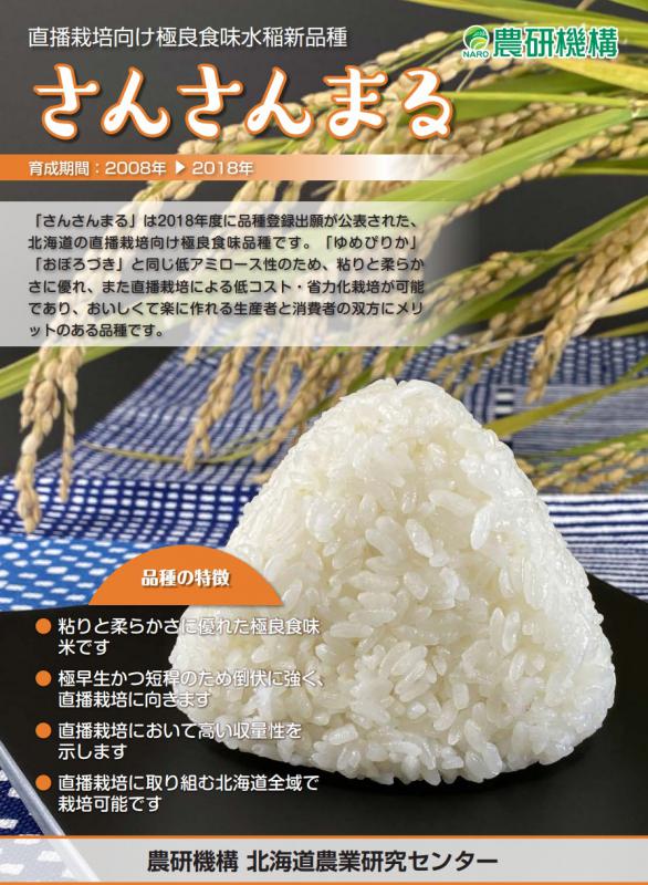 (水稲)さんさんまる