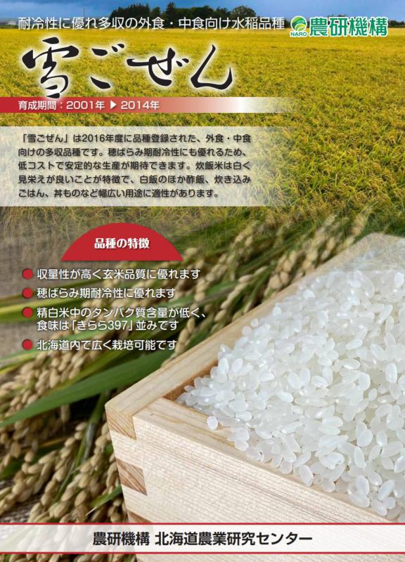 (水稲)雪ごぜん