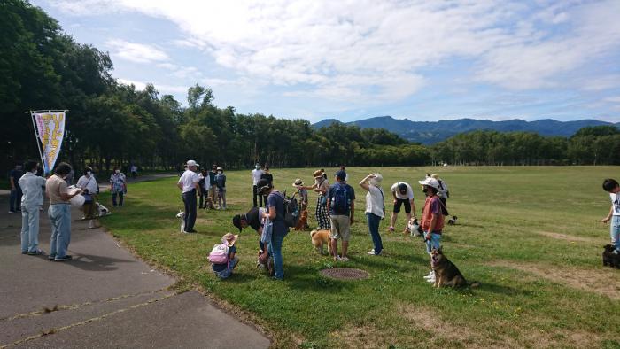過去の公園散歩講座3
