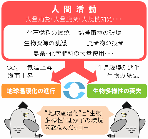 地球温暖化と生物多様性