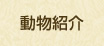動物紹介